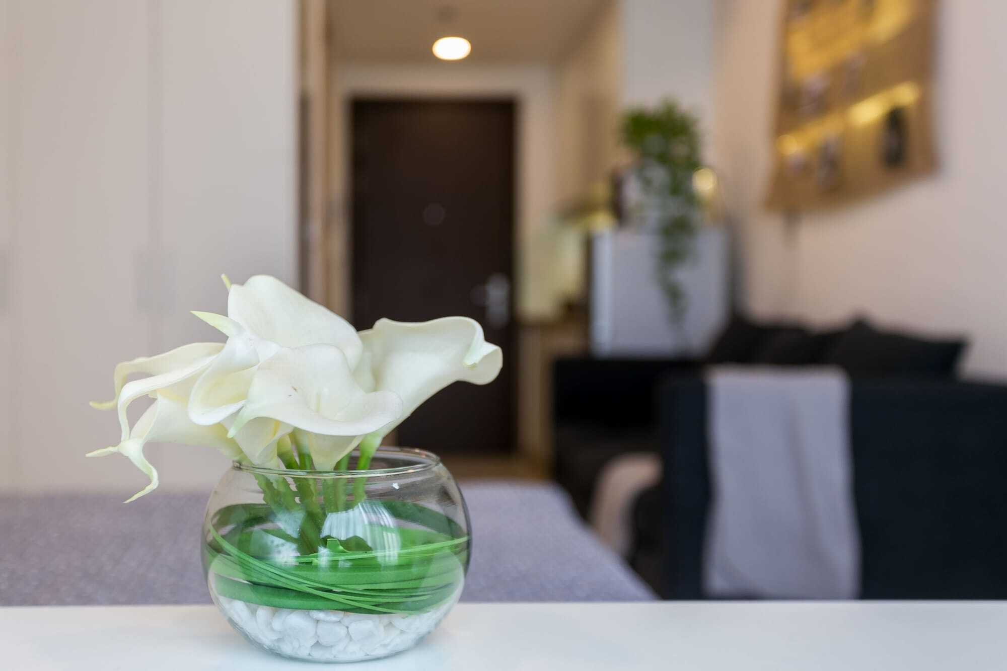Macy Studio Apartment Ho Či Minovo Město Exteriér fotografie